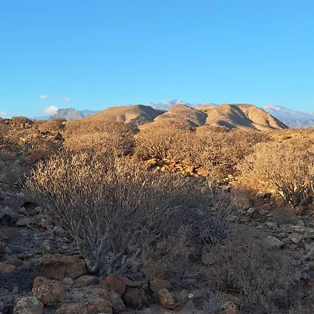 Casa Karo פאלם-מאר