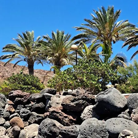 Casa Karo דירה פאלם-מאר